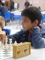 Le Tournoi des Fous édition 2014 ! Tournoi des Fous 2014 (7)