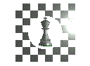 Le Tournoi des Fous édition 2014 ! Animated Chess Gif (12)