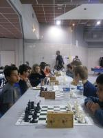 Le Tournoi des Fous édition 2014 ! Tournoi des Fous 2014 (4)