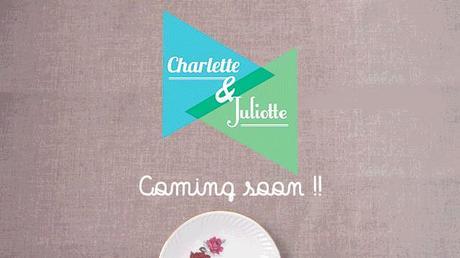 Un joli projet à soutenir : Charlette et Juliotte, location de vaisselle vintage http://fr.ulule.com/vaisselle-vintage/