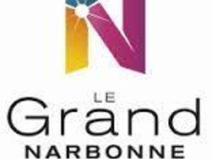 La majorité au Grand Narbonne n'est pas aussi étroite qu'il n'y paraît !... 