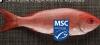 Label MSC : un label pour favoriser des produits issus de la pêche durable