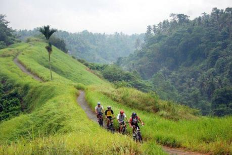 Balade en vélo dans les rizières de Bali