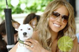 chiens mariah carey2