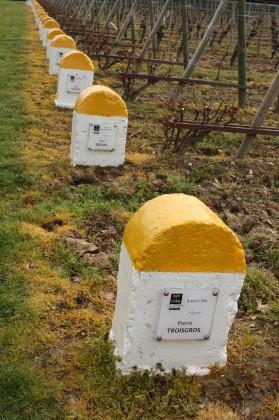 A chaque grand chef son rang de vigne 279x420