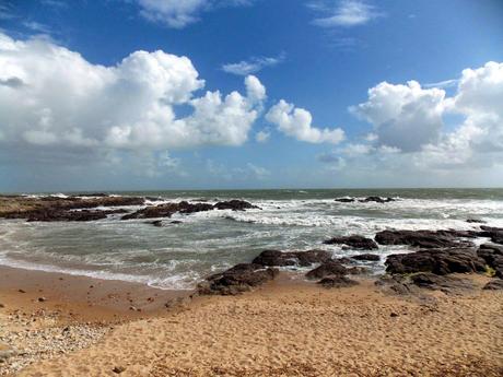 transhumer et à vos souhaits