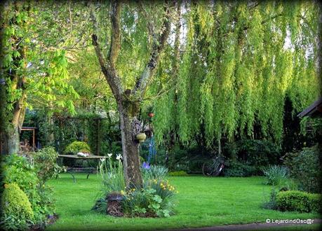 Tour de jardin...