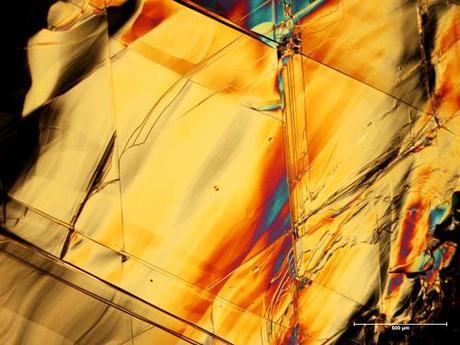 Profit à tout prix : raréfaction des ressources