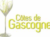 découverte Côtes Gascogne