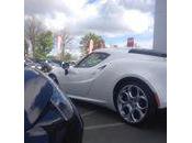 Quelques visiteurs week près l'#alfaromeo