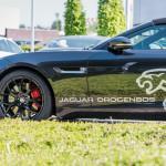 MOTEURS: E-TV a testé la nouvelle Jaguar F-Type MOTEURS: E-TV a testé la nouvelle Jaguar F-Type