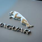 MOTEURS: E-TV a testé la nouvelle Jaguar F-Type MOTEURS: E-TV a testé la nouvelle Jaguar F-Type