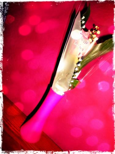 Copie de 100happydays17.jpg