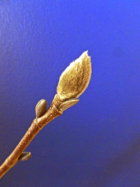 Prendre des habitudes qui changent la vie