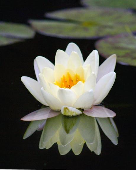 La Méditation ? Une rupture ! par Jacques Castermane