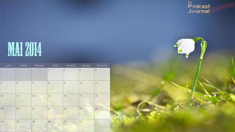 Photo originale (c) Adrian Dreßler