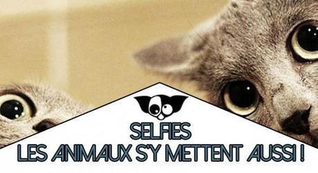 Selfies d’animaux !