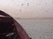 millions moucherons Mývatn (Islande)