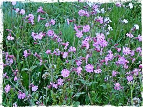 Copie de 100happydays18.jpg