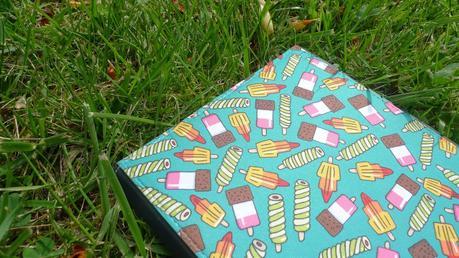 Etui de glaces Etui de glaces