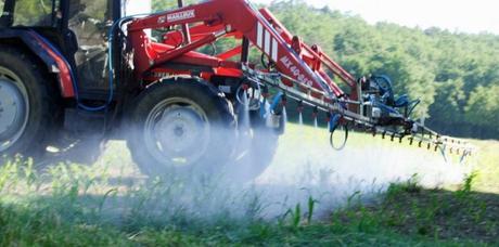 L'herbicide Roundup de Monsanto est le pesticide le plus utilisé dans le monde. BURGER / Phanie / AFP