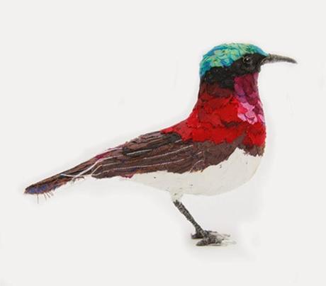 Les oiseaux rares d'Abigail Brown Les oiseaux rares d'Abigail Brown