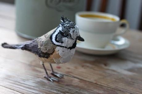 Les oiseaux rares d'Abigail Brown