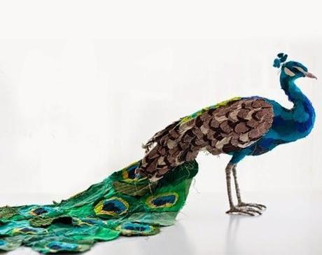 Les oiseaux rares d'Abigail Brown