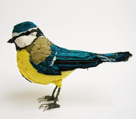 Les oiseaux rares d'Abigail Brown Les oiseaux rares d'Abigail Brown