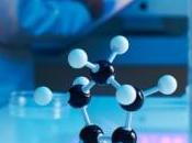 LONGÉVITÉ: médicament expérimental prometteur contre vieillissement PNAS