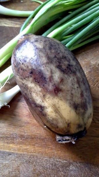 RACINE DE LOTUS RACINE DE LOTUS