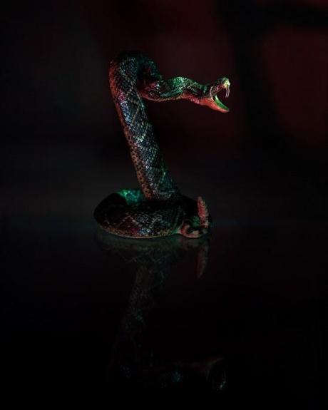 serpent art geraldo montiel klint  serpent agressif  attaque serpent artiste serpent art Amérique latine art Amérique du sud