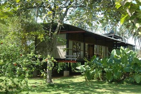 Paradis tropical au Sri Lanka
