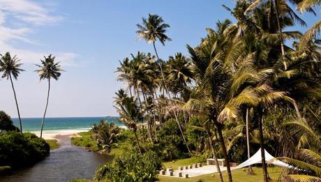 Paradis tropical au Sri Lanka