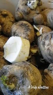 Poêlée de cerfeuil tubéreux