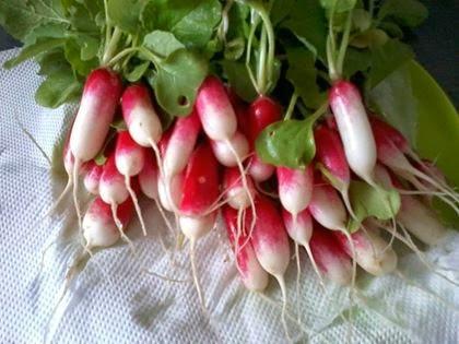 Et un printemps de plus pour mon blog! Petite récap!