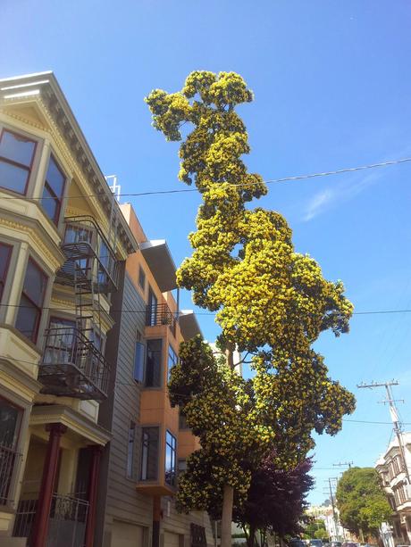 Paroles de la femme-océan, III.