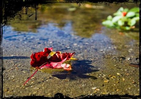 Écrire pour repousser l’envahisseur