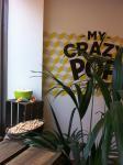 My crazy pop – Paris 11ème