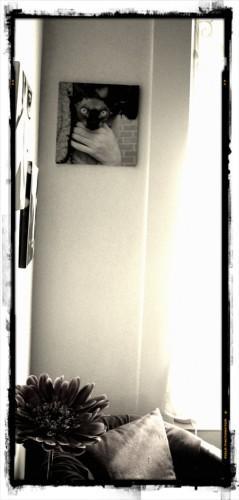 Copie de 100happydays20.jpg