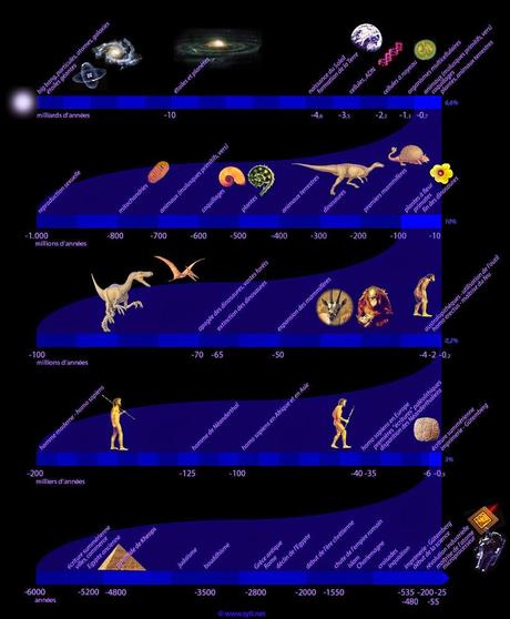 Histoire de l'évolution