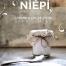 Niepi, un magazine de cuisine et art de vivre pour les ''sans gluten''