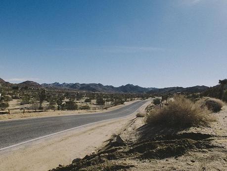 On the road to … Joshua Tree Park! DSCF9117