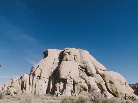 On the road to … Joshua Tree Park! DSCF9147
