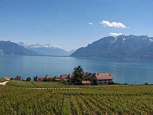 L'Etat, par ses interventions, finira bien par avoir la peau de Lavaux