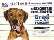 Adoptez animal quai rapée