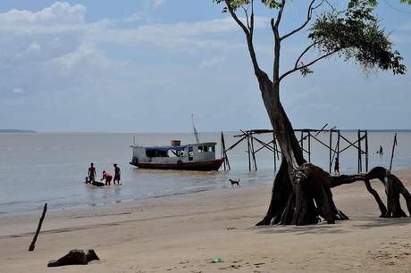 Blog de domguyanais : JOURNAL DE L'AMAZONIE EN EVOLUTION, Voyage au bout du fleuve