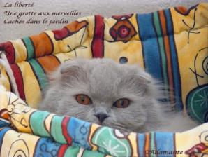 L'union fait la force