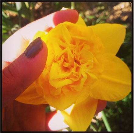 #52rockingweeks – La Récap de Mars ! week_12