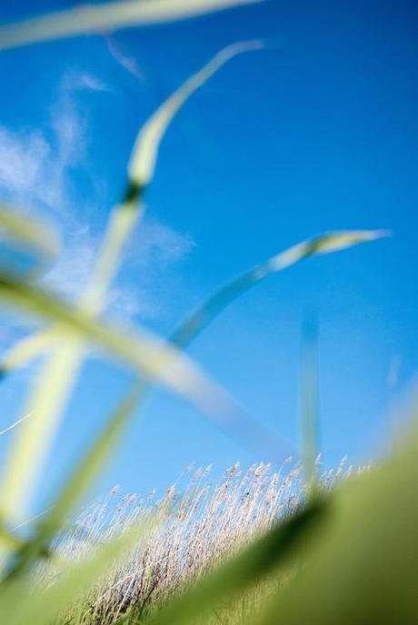 Un dimanche du cimetière à la plage L1003641.jpg